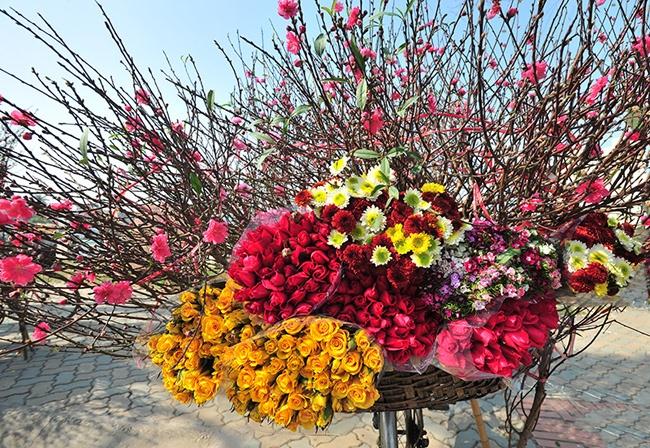 Hướng dẫn bí quyết chăm sóc cây cảnh ngày tết