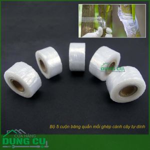 Bộ 5 cuộn băng keo ghép cây tự dính lõi B