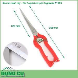 Kéo cắt tỉa cành cây thu hoạch hoa quả Sagawata P-905