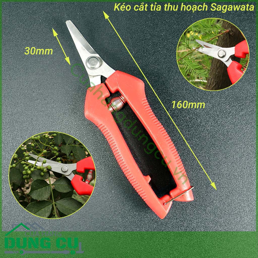 kéo cắt tỉa thu hoạch hoa quả