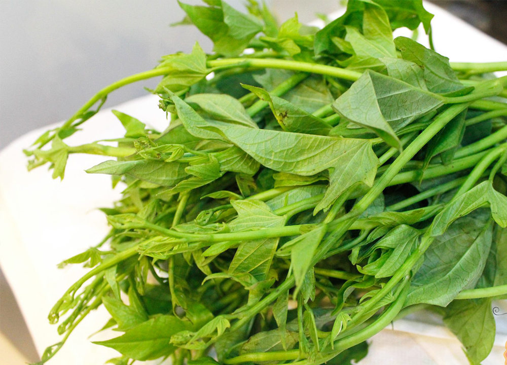 Bí quyết tự trồng rau lang tại nhà giải nhiệt thay đổi khẩu vị