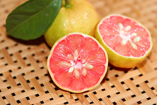 Hướng dẫn cách trồng chanh đào cung cấp vitamin tốt cho sức khỏe