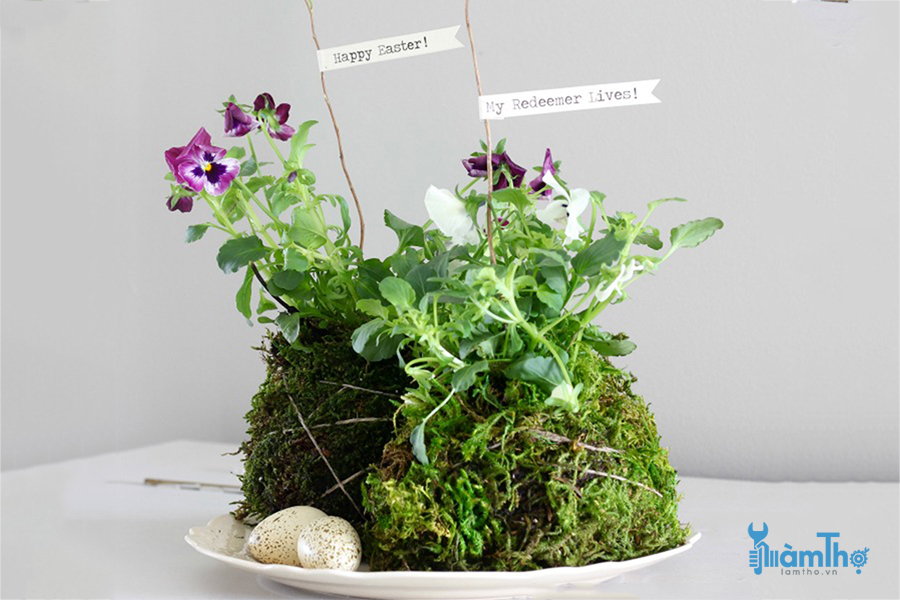 Gợi ý cách trồng Kokedama mùa xuân trang trí không gian