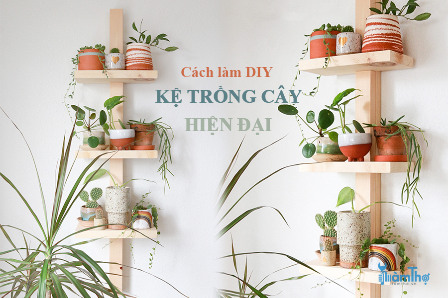 Tự làm kệ trồng cây hiện đại để trưng bày cây trồng